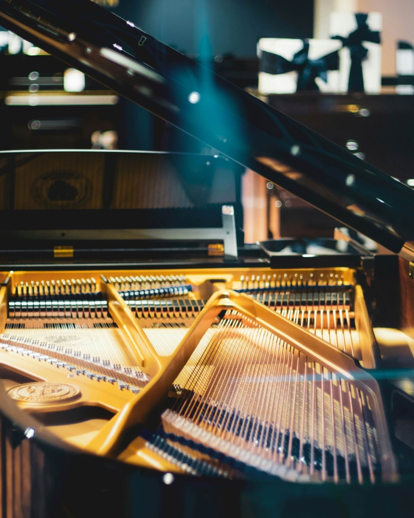 Vista delle corde di un pianoforte aperto