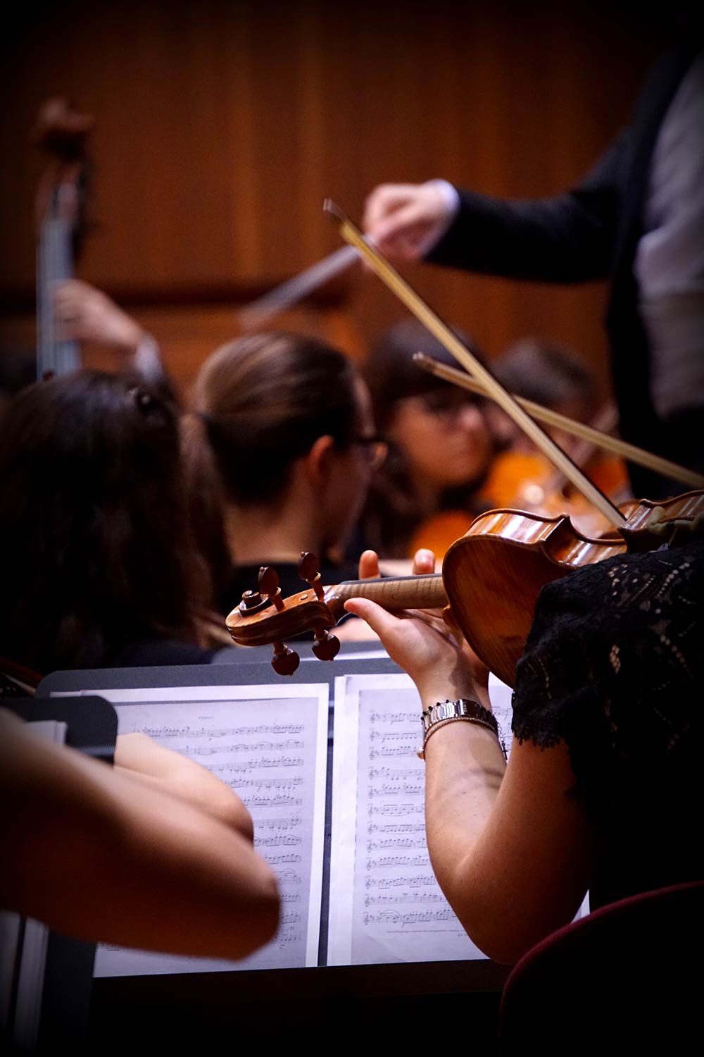 Violinisti di spalle