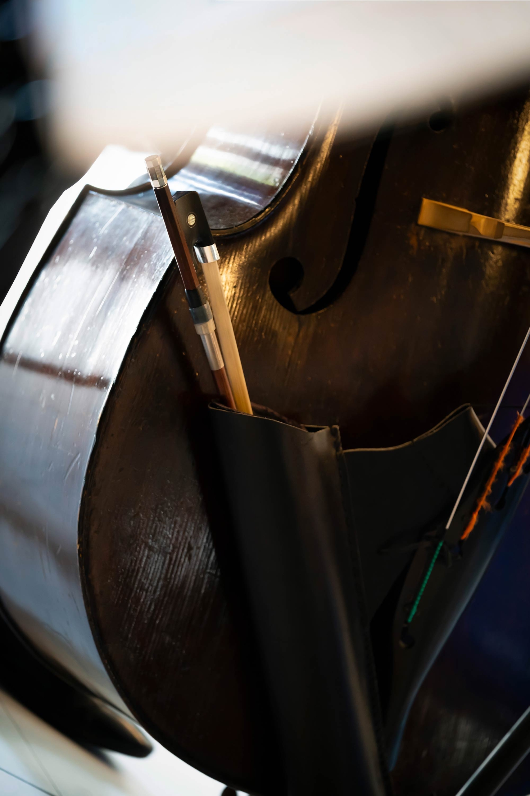 Primo piano del violoncello