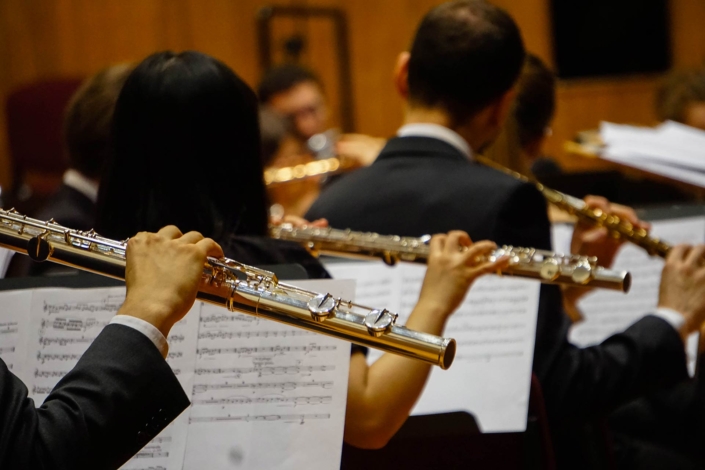 Suonatori di oboe di schiena che suonano