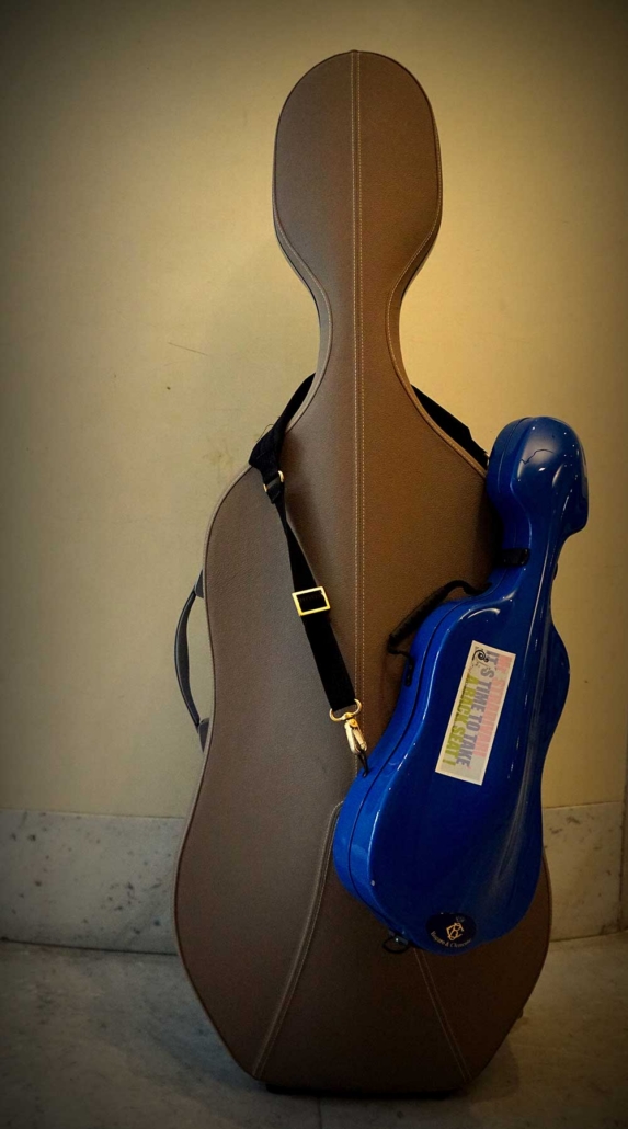 consigliera-di-fiducia